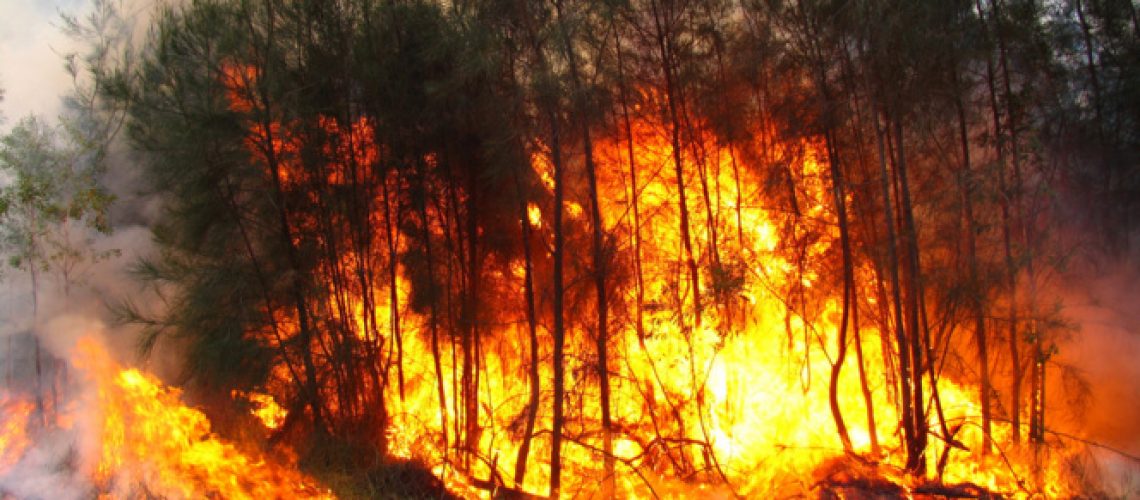 incendio